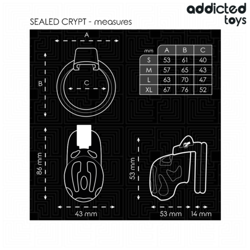 ADDICTED TOYS LOCKED - SEALED CRYPT JAULA PARA PENE 8 CM