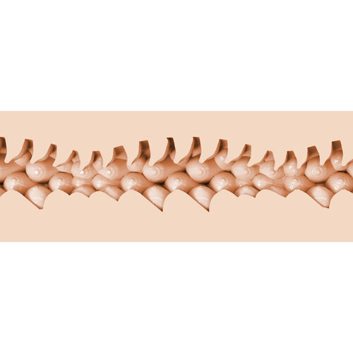 FLESHLIGHT FANTASY - EVIE AKASHIYA VAGINA