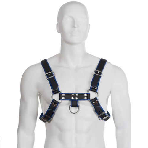 METAL HARD ARNES CUERO AZUL Y NEGRO CHEST BULLDOG