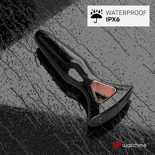 AMBIGUO WATCHME CONTROL REMOTO PLUG ANAL ALEXANDRU